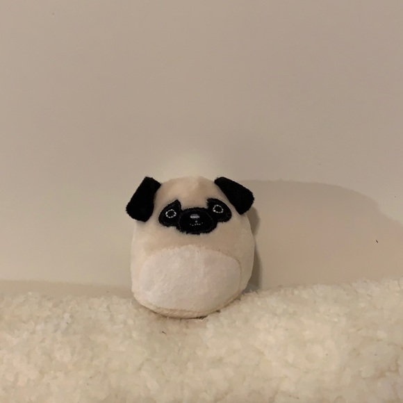 Squishmallows Other - Pug Squishville Squishmallow